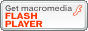 Scarica l' ultima versione del flash player per visualizzare correttamente l' home-page